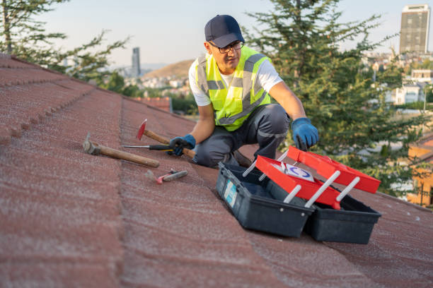 Best Attic Cleanout  in San Tan Valley, AZ